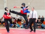 2017 - OPEN REGIONAL Kung Fu